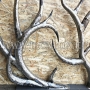 Wrought Iron Railing
