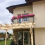 Wrought Iron Railing