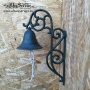 Campanula 21x11,5x34sm