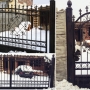Wrought Iron Gateway