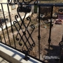 Wrought iron railing
