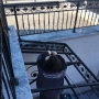 Wrought Iron Canopy