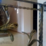 Wrought Iron Railing