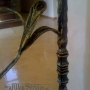 Wrought Iron Railing