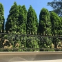 Hand Forged Fence